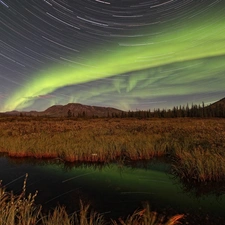 Mountains, viewes, marshland, trees