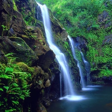 Aloha State Hawaje, waterfall, Maui