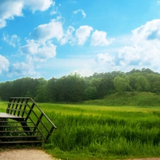 Meadow, wooden, bridges