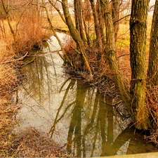 brook, viewes, Meadow, trees