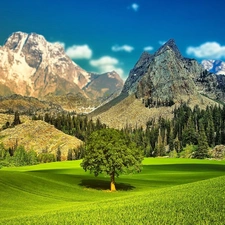 Sky, trees, grass, viewes, Mountains, Meadow, clouds