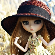 doll, Hat, Meadow, toy