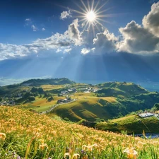 Meadow, lilies, sun, Mountains, rays