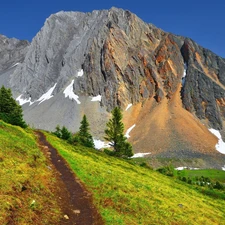 Mountains, Meadow