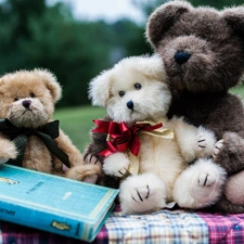 Meadow, Park, Bears, Book, Stuffed Animals
