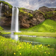 bridges, rocks, Flowers, brook, waterfall, Meadow, Spring