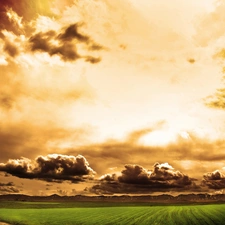 west, clouds, Meadow, sun