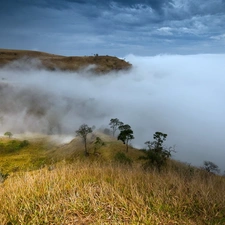 medows, Fog, Mountains