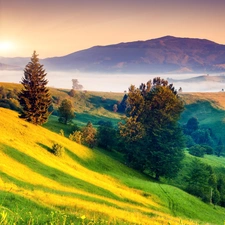 woods, Fog, rays, Mountains, lake, medows, sun