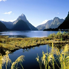 Milford, New Zeland, Mountains, VEGETATION, lake