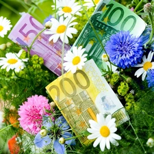 money, bouquet, flowers