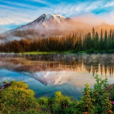 forest, lake, morning, reflection, Fog, Mountains