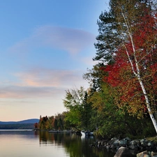 Mountains, lake, forest