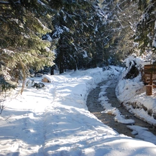 forest, winter, Mountains, stream