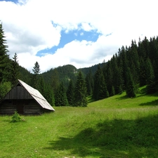 grass, forest, Mountains, cottage