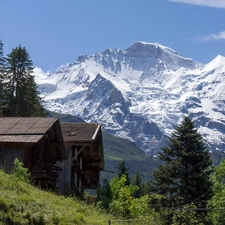 Houses, viewes, Mountains, trees