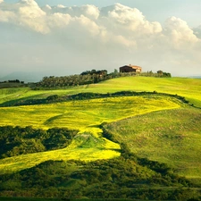 roads, Houses, Tuscany, medows, vineyard, Mountains, Italy