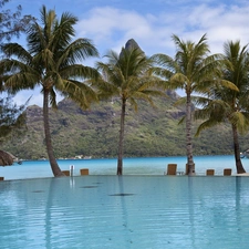 Pool, Palms, Mountains, Gulf