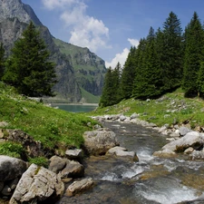 River, woods, Mountains, Stones