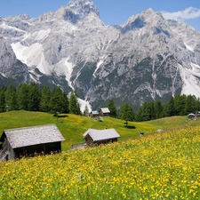 Mountains, Meadow, Sheds