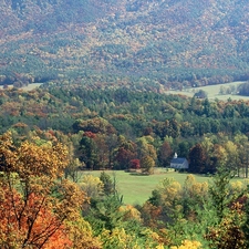 small, forest, Mountains, church