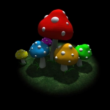 color, mushroom