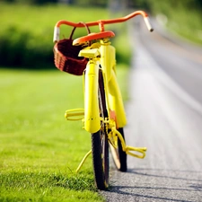 Bike, basket, Mushrooming, Way