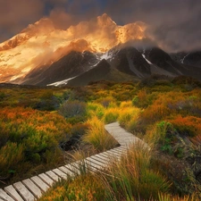 Mountains, Mount Cook National Park, VEGETATION, Hooker Valley, New Zeland, Mount Cook, Path