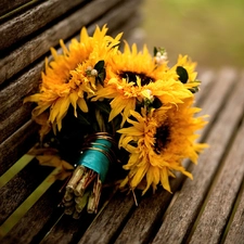 Nice sunflowers, Bench