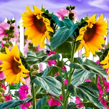Flowers, Nice sunflowers, graphics, Hollyhocks