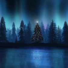 illuminated, forest, Night, christmas tree