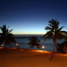 sea, Palms, Night, Beaches