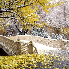 autumn, Central Park, Nowy York