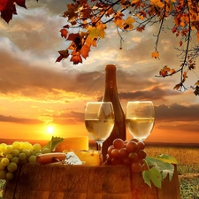 barrel, oak, autumn, field, sun, Wine, Grape, west