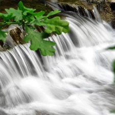 oak, waterfall, Leaf