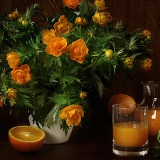 orange, juice, orange, flowers, bouquet