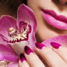 face, make-up, orchids, Womens