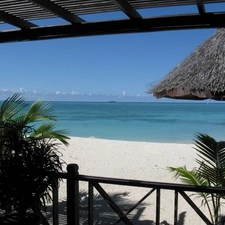 Beaches, terrace, Palms, Ocean