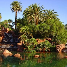 Garden, Pond - car, Palms, Cascades