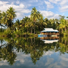 Palms, lake, Home