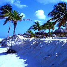 Island, Beaches, Palms, sea