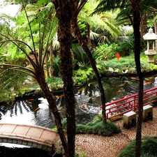 Garden, fish, Palms, Pond - car