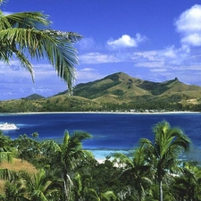 River, Passenger Ships, Palms, Mountains