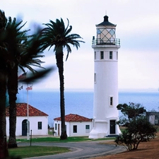 sea, maritime, Palms, Lighthouse