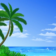 sea, Palms
