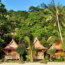 Palms, tropic, an, beach, Houses