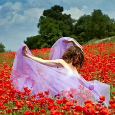 papavers, Women, Meadow