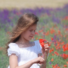 papavers, girl, Smile