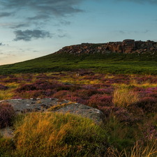 The Hills, England, heathers, Stones, heath, Peak District National Park