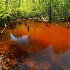 lake, Arch Muzakowa, Park, anthropogenic